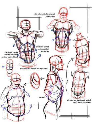 Character Design Collection: Male Anatomy