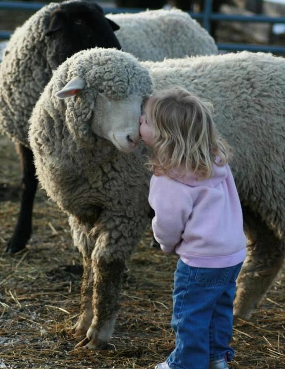 Cutest-Ever Photos of Kids Kissing Animals
