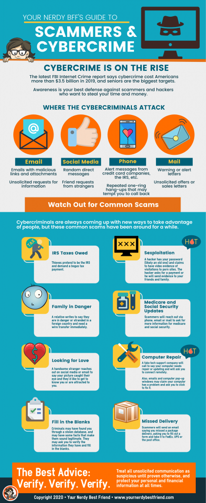 Cybercrime and Scammers Infographic 2020 - Beth Ziesenis