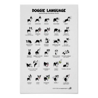 DOGGIE LANGUAGE Large Poster