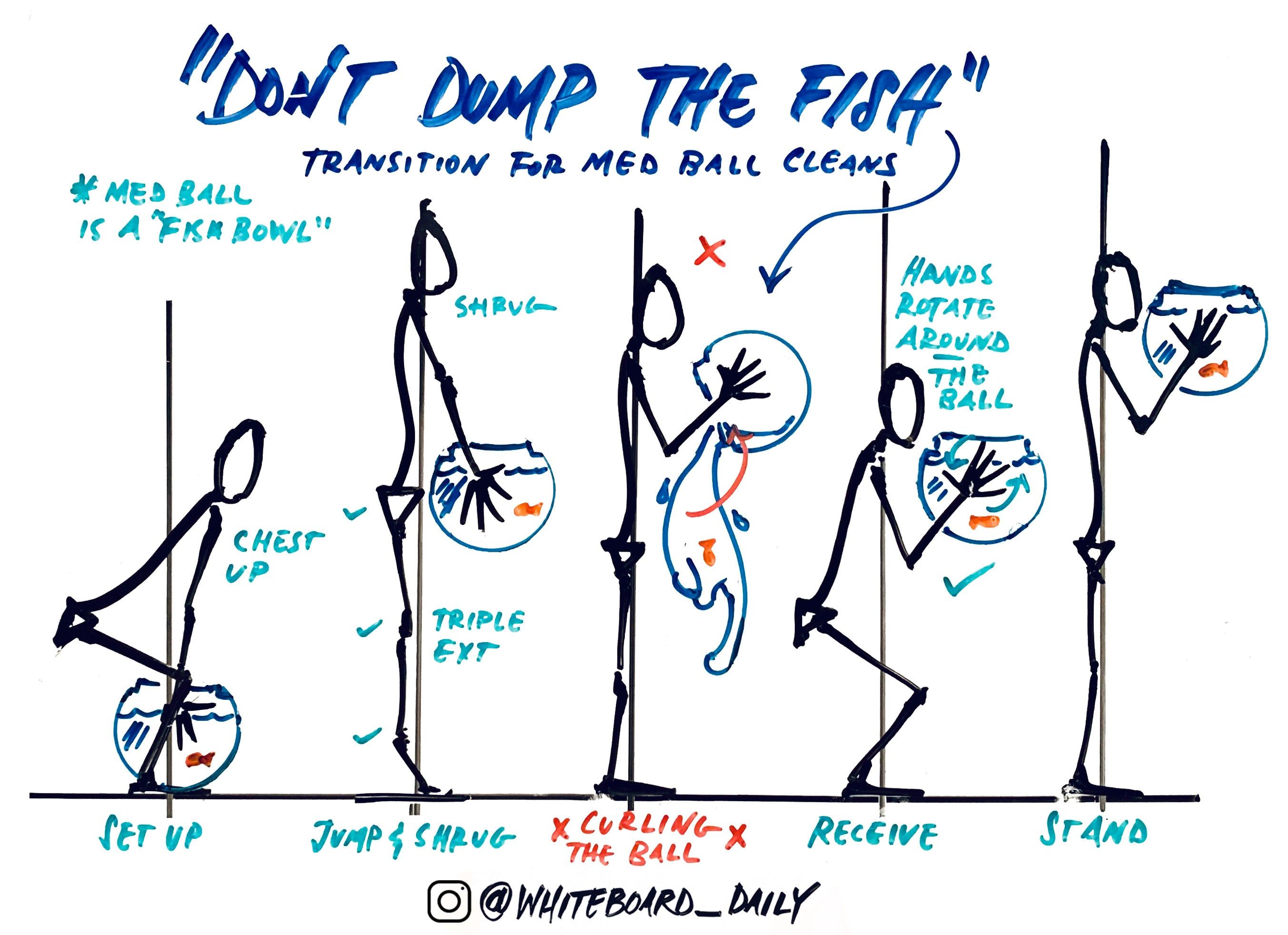 Digital Sketch: "Don't Dump the Fish"