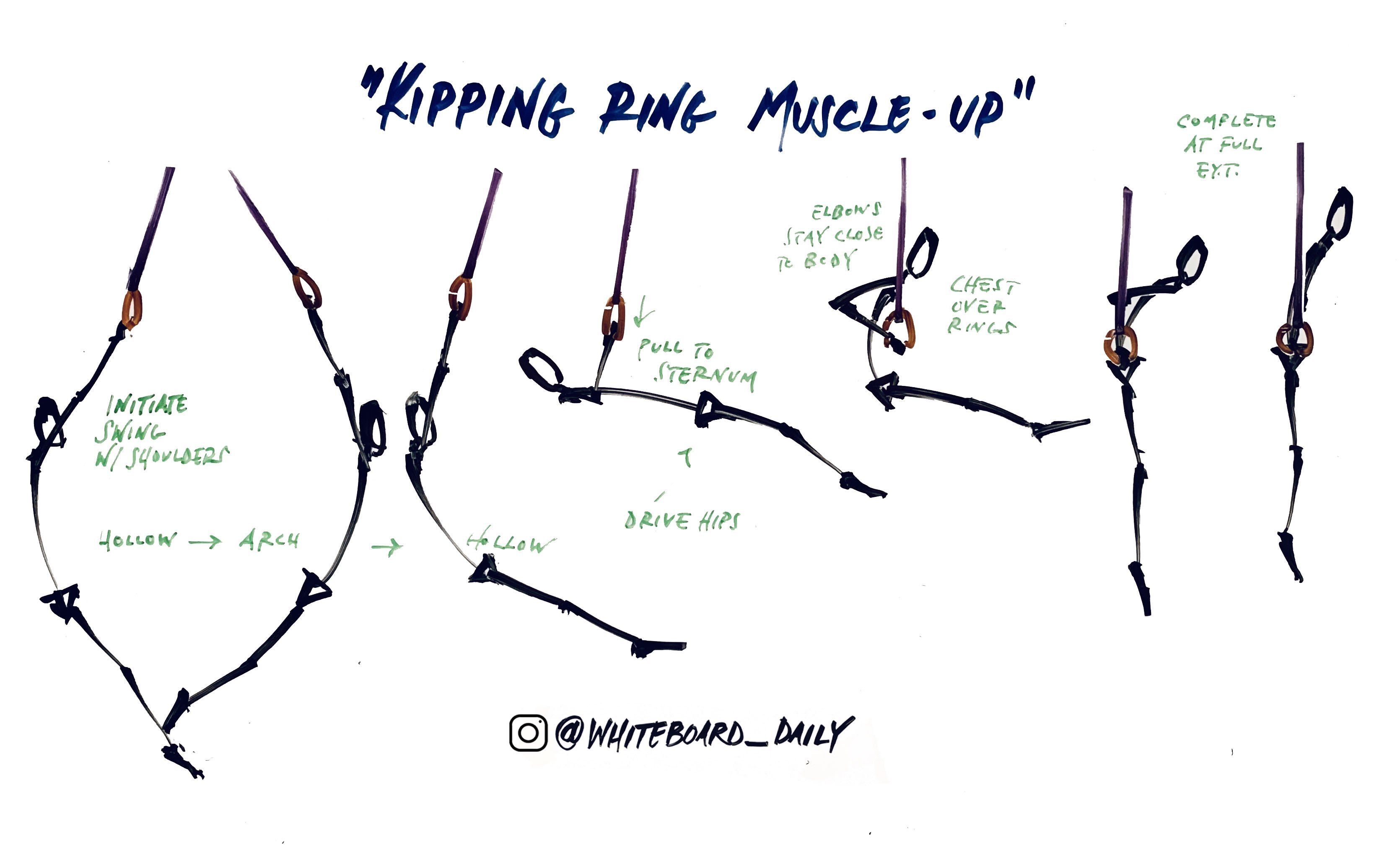 Digital Sketch: Kipping Ring Muscle-Up