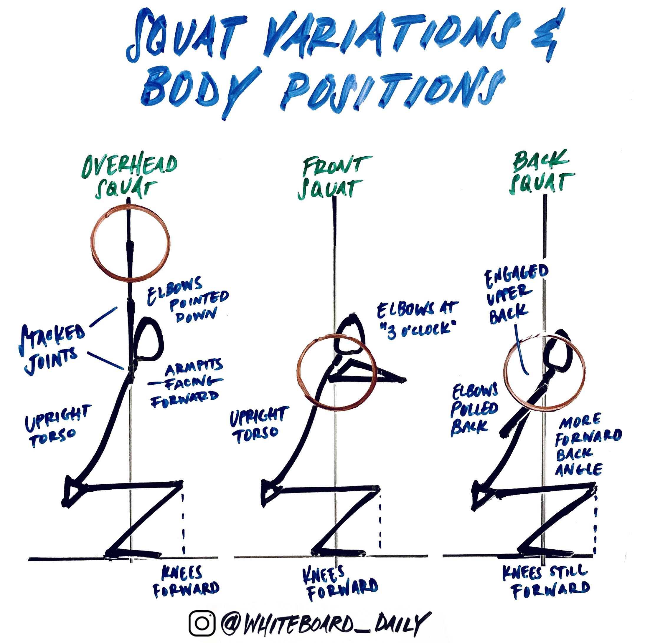 Digital Sketch: Squat Variations and Body Positions