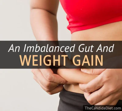 Does An Imbalanced Gut Cause Weight Gain? » The Candida Diet
