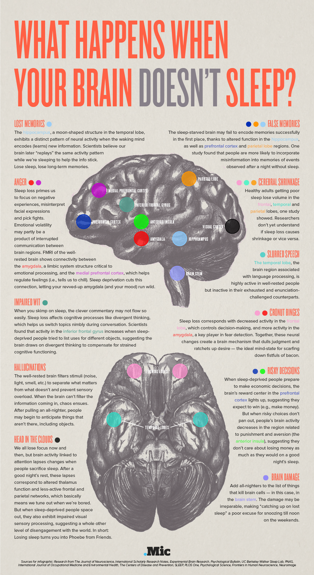 Entrepreneur | This Is Your Brain on Not Enough Sleep (Infographic)