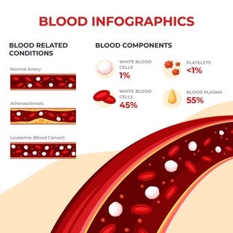Free Vector | Flat blood infographic template