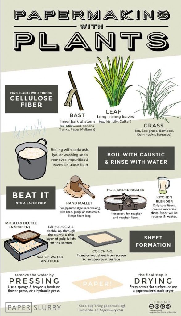Hand Papermaking with Plants (Illustrated Infographic) | Paperslurry