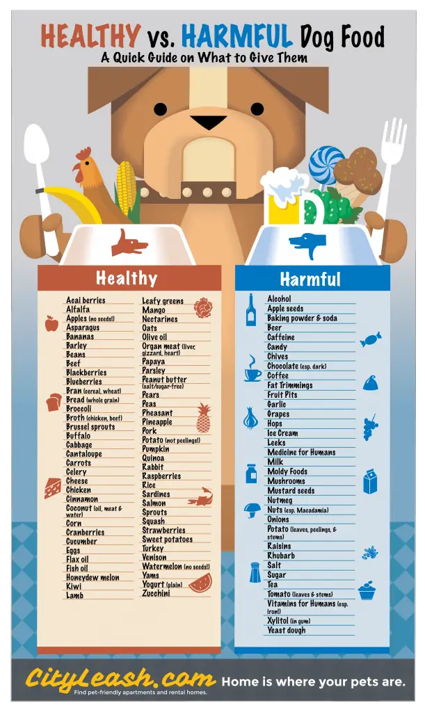 Healthy vs Harmful Dog Food