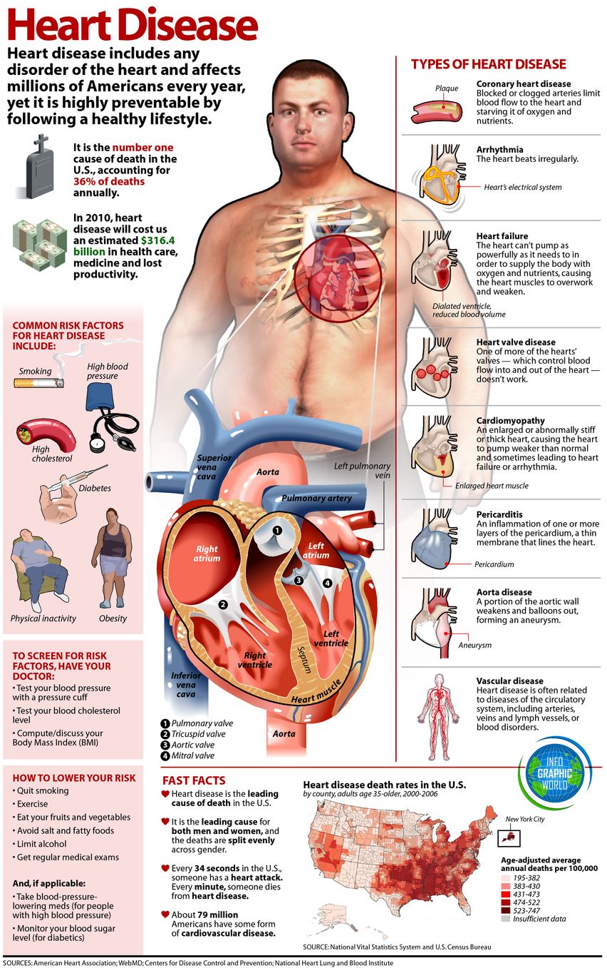 Heart Disease | Daily Infographic