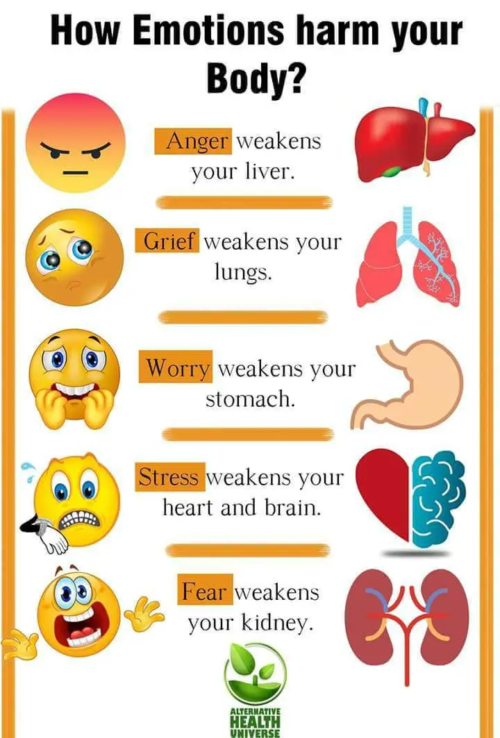 How Emotions Harm Your Body? — Steemit