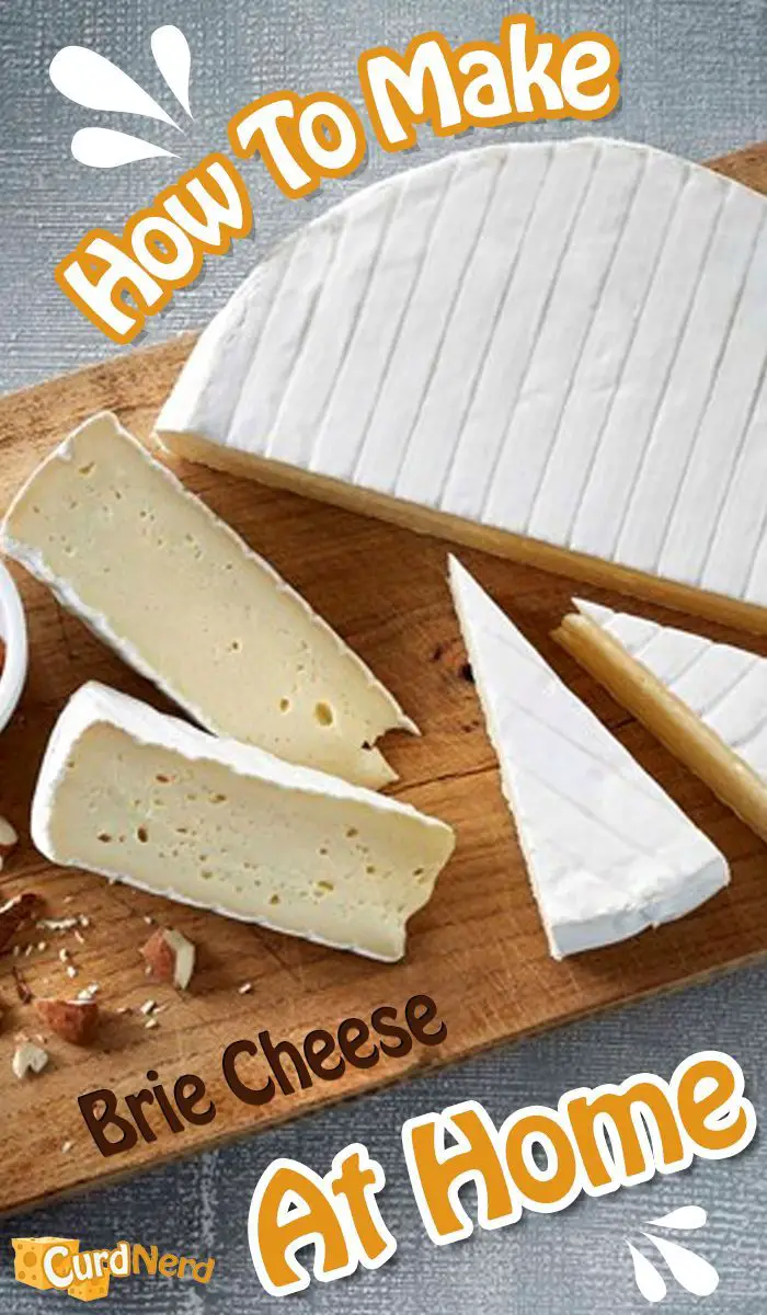 How To Make Brie Cheese At Home