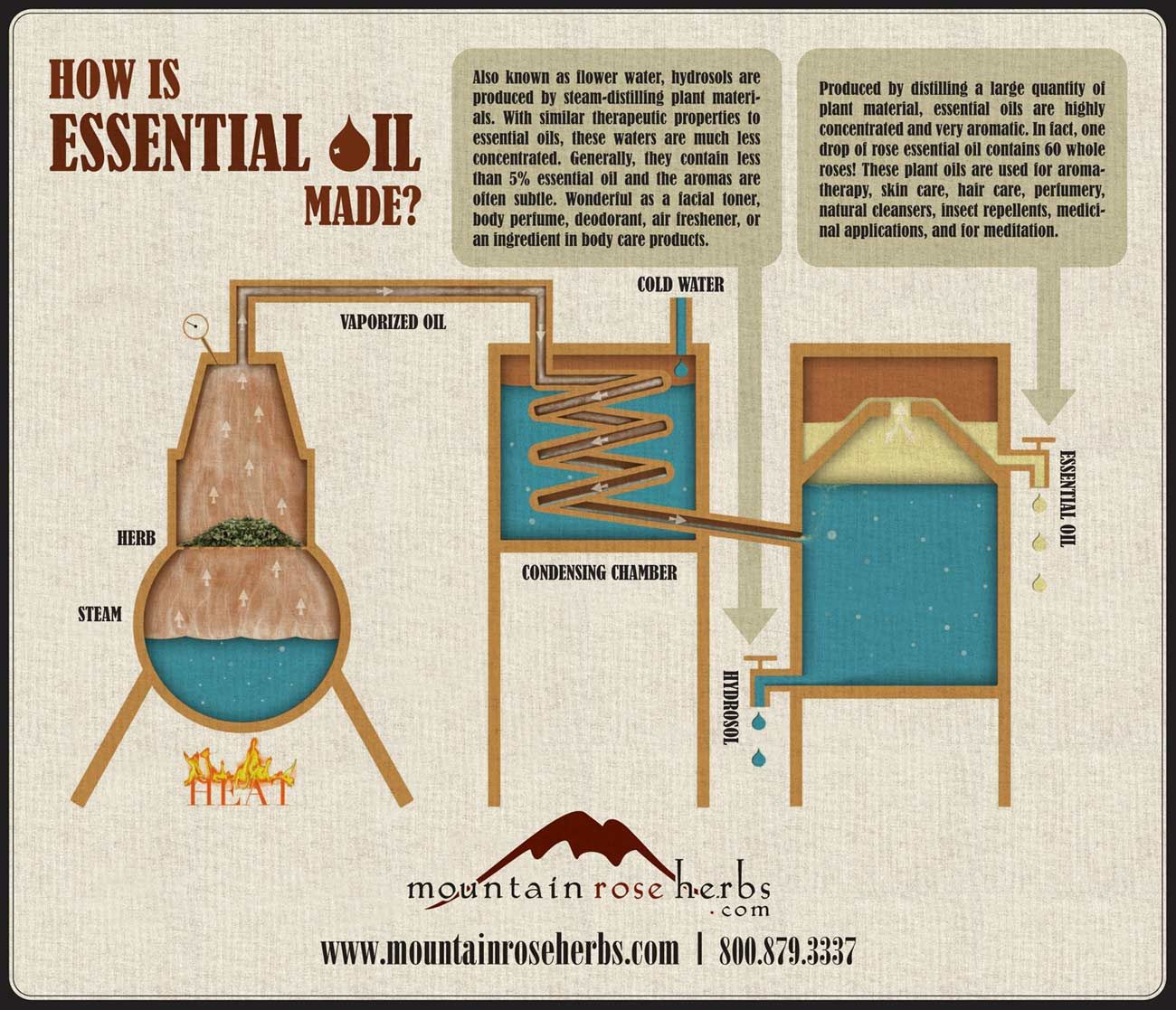 How is Essential Oil Made?