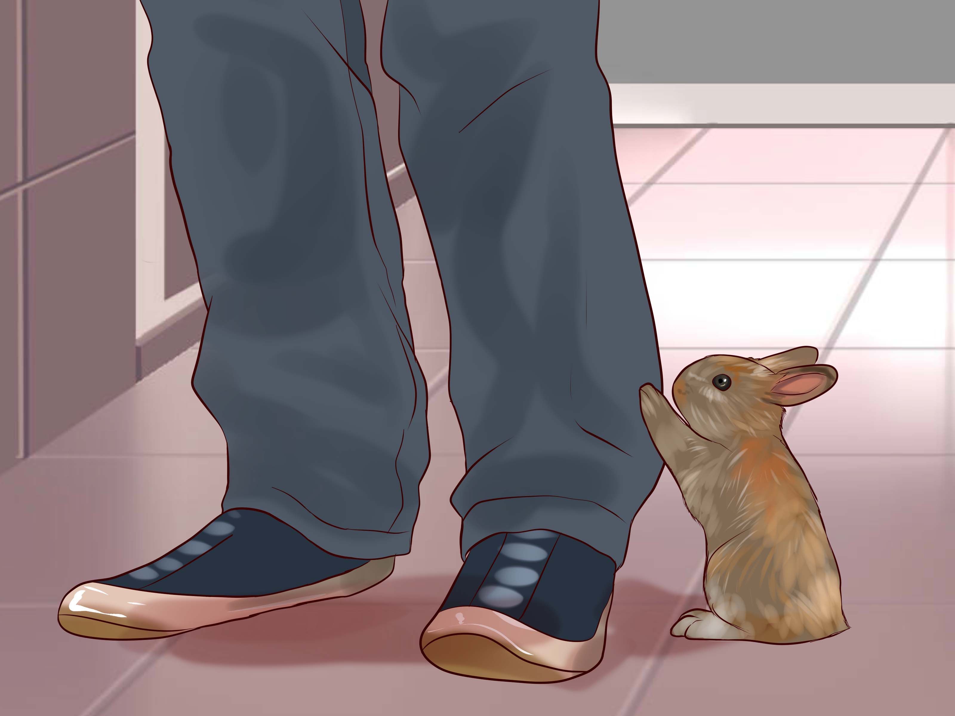How to Play With Your Rabbit: 9 Steps (with Pictures) - wikiHow