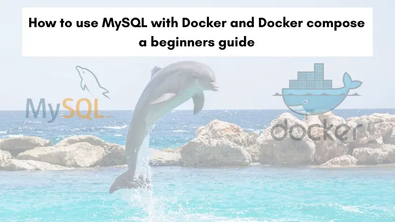 Use MySQL with Docker and docker-compose easily