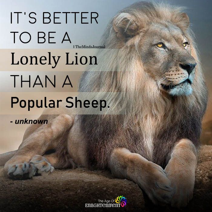 It's Better To Be A Lonely Lion