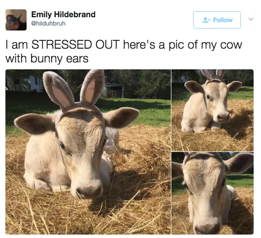 Just 18 Really Lovely, Wholesome Posts That Will Soothe Your Troubled Soul