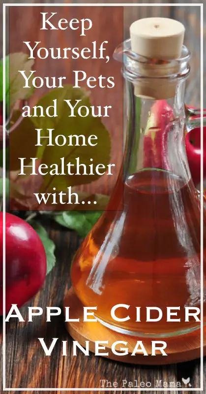 Keep Yourself, Your Pets and Your Home Healthier with Apple Cider Vinegar - The Paleo Mama