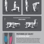 Master Your Muscles: Best Leg Exercises #infographic