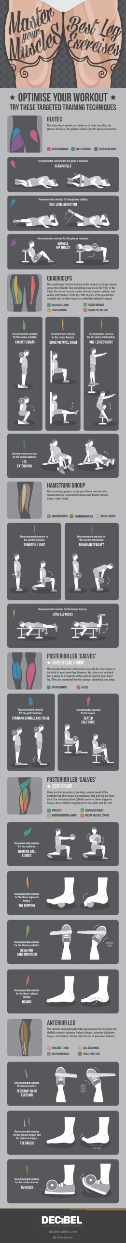 Master Your Muscles: Best Leg Exercises #infographic