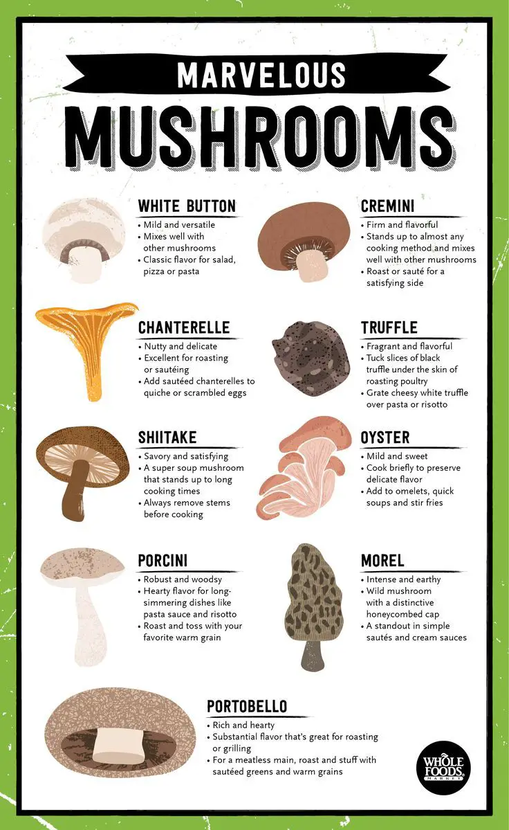 Mushrooms: A Culinary Treasure