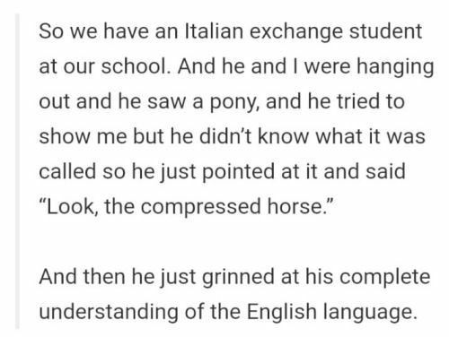 On horses: