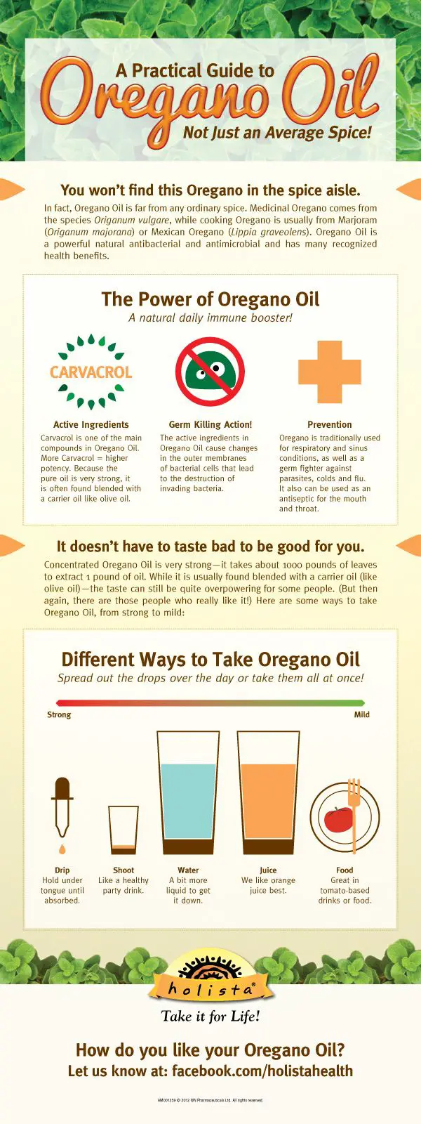 Oregano Essential Oil Benefits [Infographics]