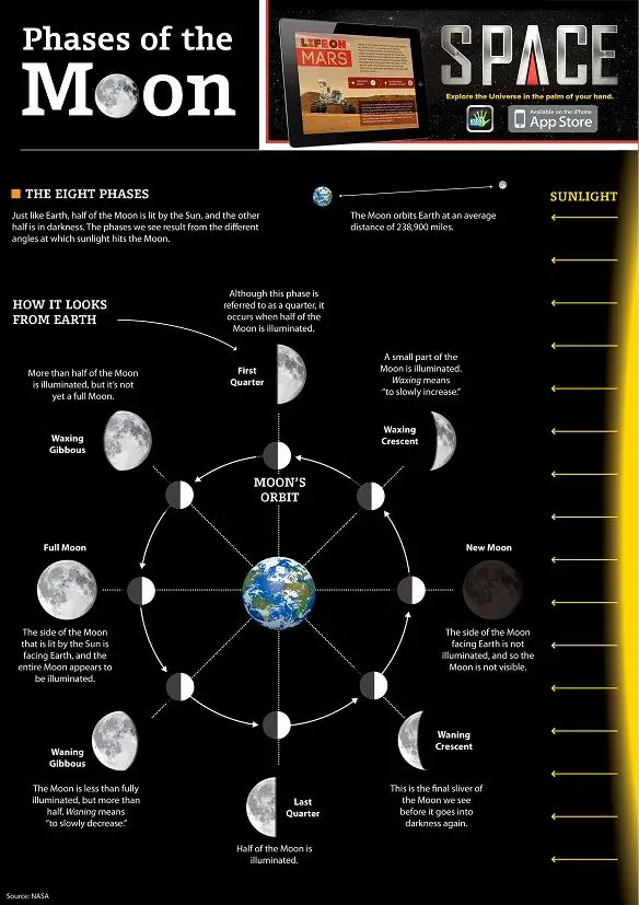 Phases of the Moon | Kids Discover Online