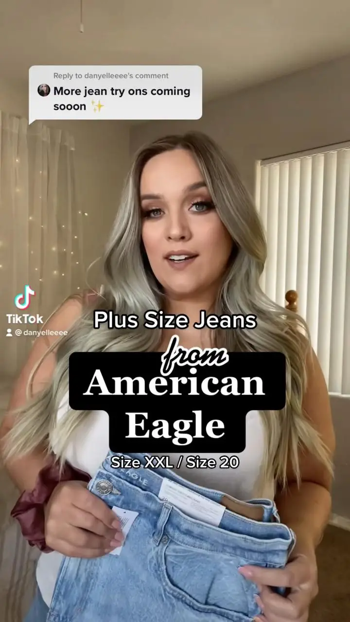 Plus Size Denim American Eagle