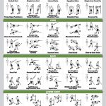 Quickfit 10 Pack - Exercise Workout Poster Set - Cable Machine, Dumbbell, Suspension, Kettlebell, Resistance Bands, Stretching, Bodyweight, Barbell, Yoga Poses, Exercise Ball - LAMINATED / 18 x 24