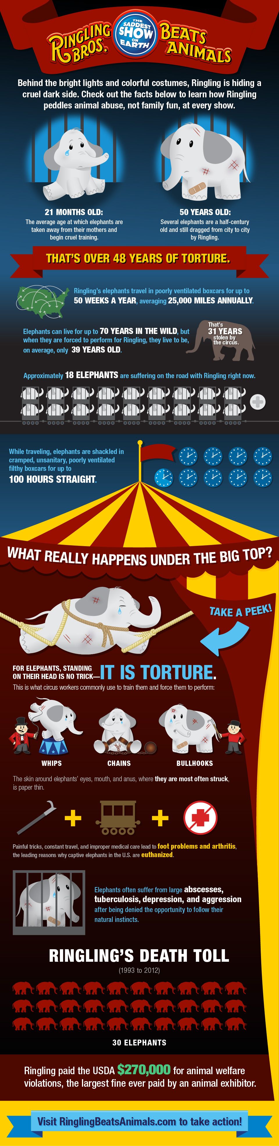Ringling's Cruelty Exposed (Infographic) | PETA