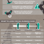 Running Shoes 101: How to Choose Shoes for Your Next Adventure