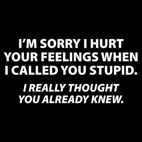 Sorry I Called You Stupid I Thought You Already Knew - (D#CD5AGHC)
