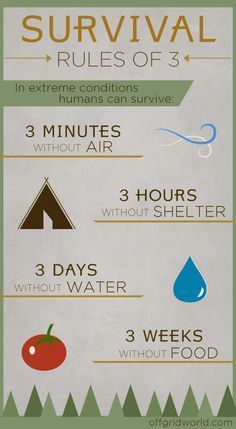 Survival Rules of 3 INFOGRAPHIC | Off Grid World