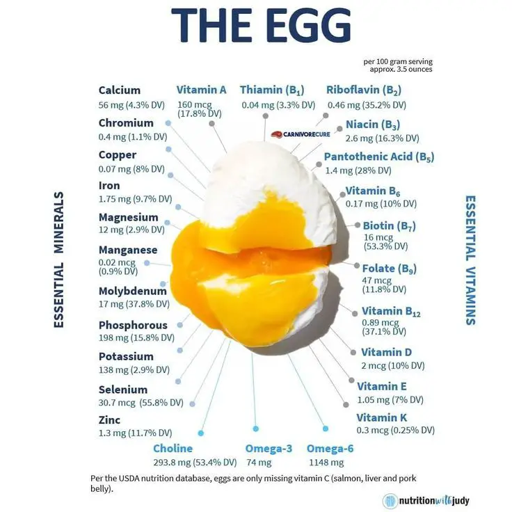 The Essential Minerals and Vitamins of the Egg