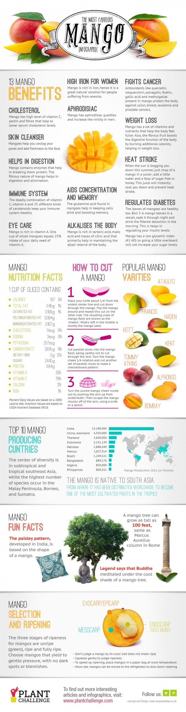 The Most Fabulous Mango Infographic | Daily Infographic