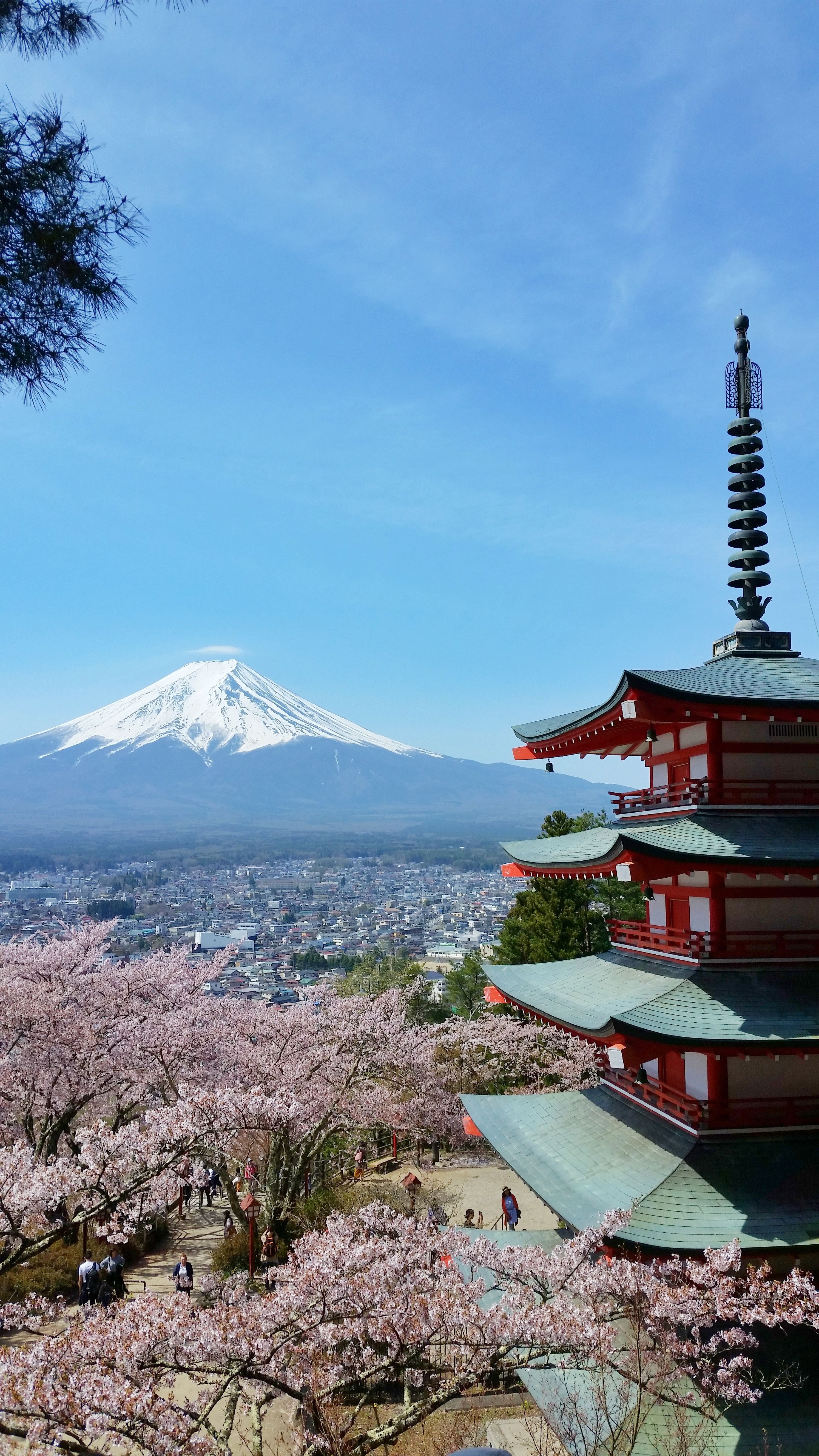 Tokyo to Chureito Pagoda train to see Mt Fuji