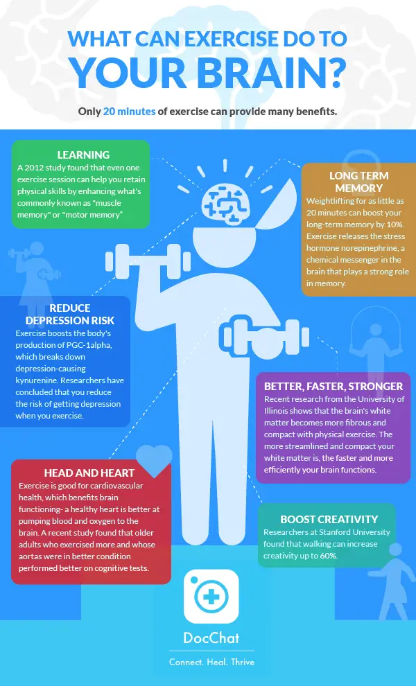 What Can Exercise Do To Your Brain? (Infograph)