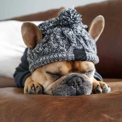 Winter Pet Dog Hat French Bulldog Hat