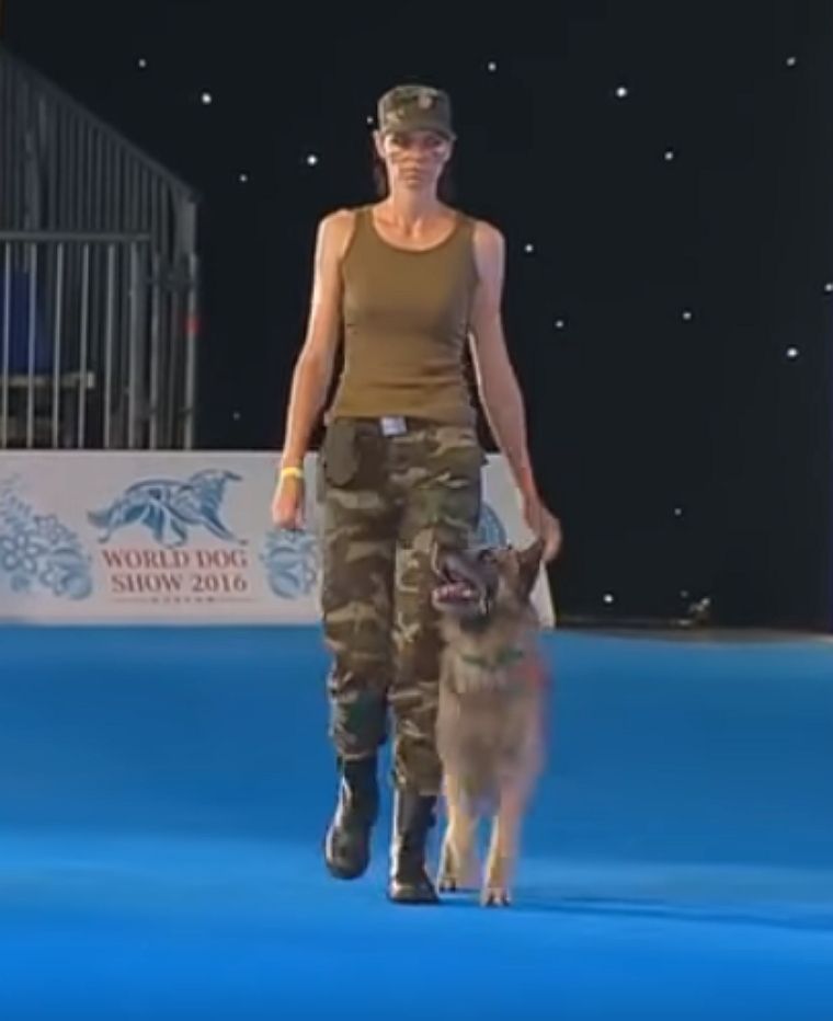 Woman Falls To The Ground During Competition. Dog's Next Move Is Putting Tears In Everyone's Eyes