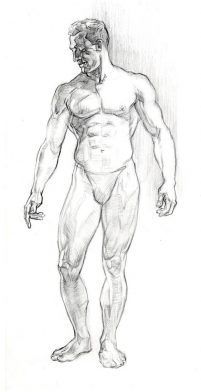 character-male-anatomy65