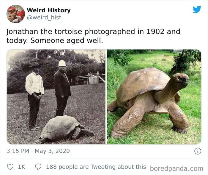 ‘Weird History’ Is An Account That Shares Interesting, Odd, And Funny Things That Happened Throughout History