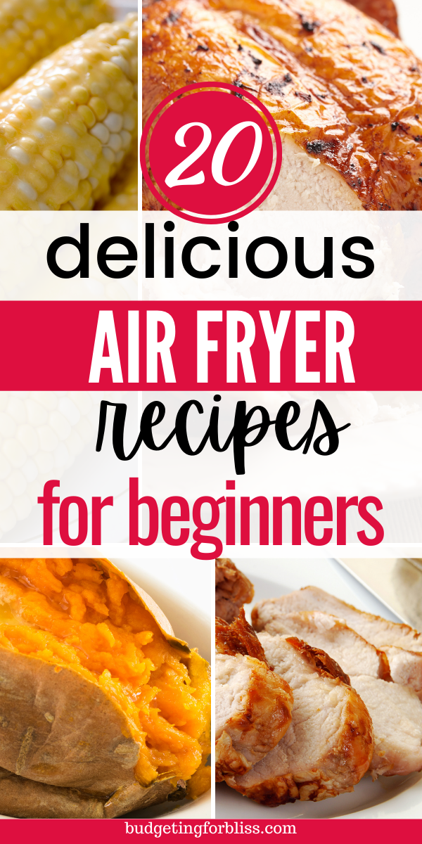 20 Delicious Air Fryer Recipes for Beginners