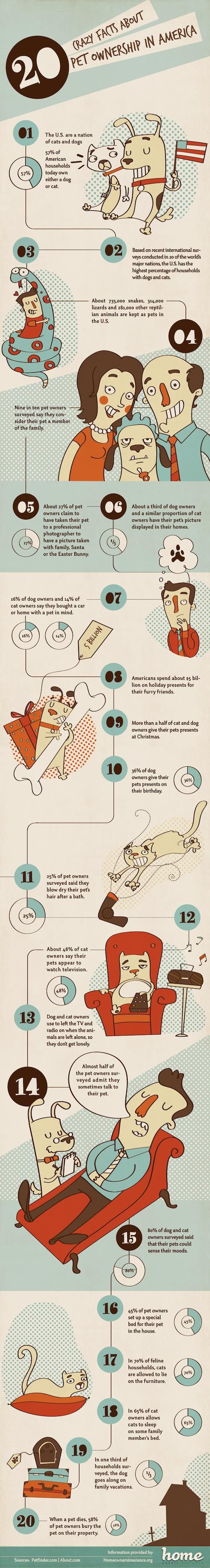 20 Facts About Pet Owners | Daily Infographic