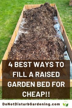 4 Best Ways to Fill a Raised Garden Bed For CHEAP! | Do Not Disturb Gardening