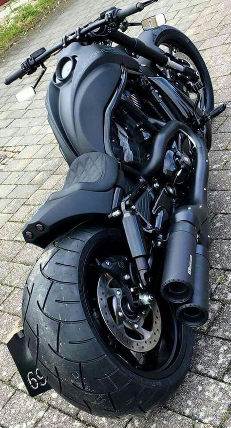 Amazing Harley Davidson Wheelies