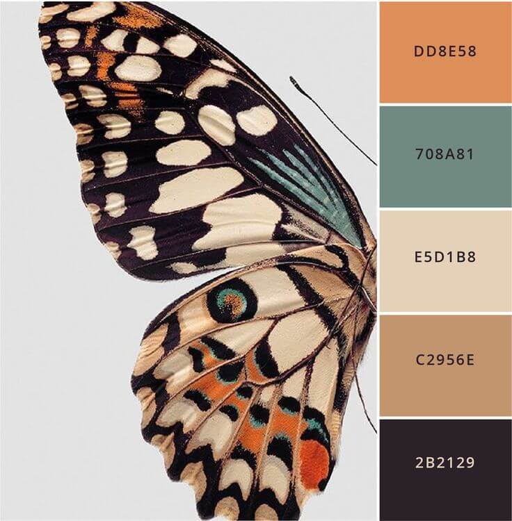 Brand Better: 12 modern color palettes to steal — Brand Spanking You