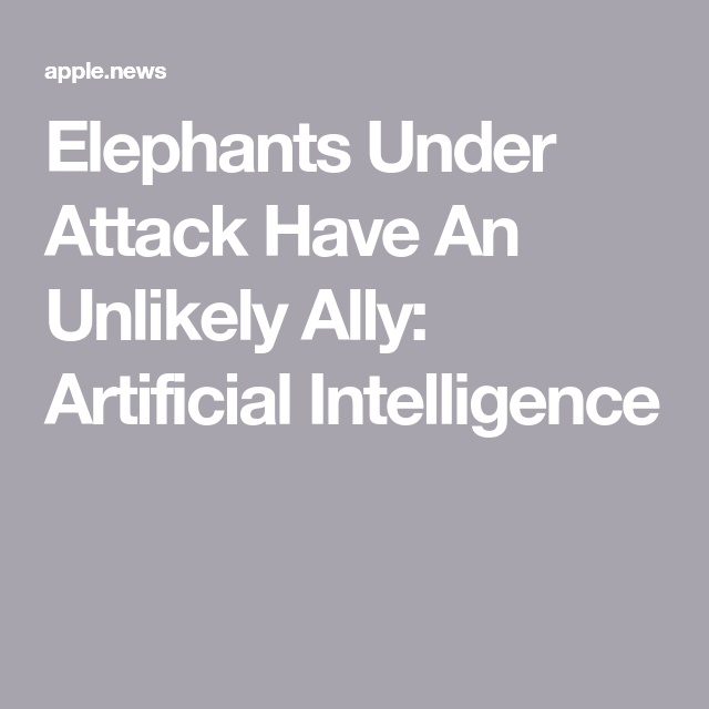 Elephants Under Attack Have An Unlikely Ally: Artificial Intelligence — NPR