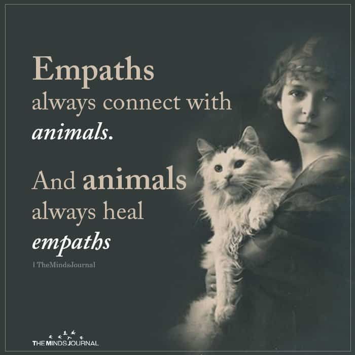 Empaths Always Connect With Animals. And Animals Always Heal Empaths