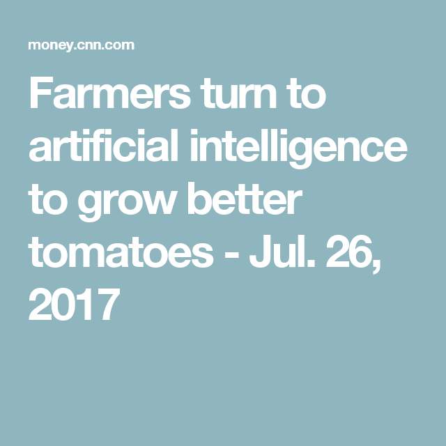 Farmers turn to artificial intelligence to grow better tomatoes