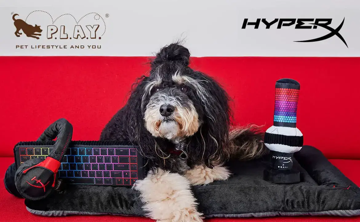 HyperX x P.L.A.Y. dog toys